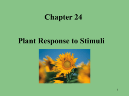 Responses in the Flowering Plant Powerpoint
