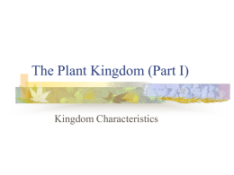 The Plant Kingdom - UNT's College of Education