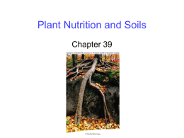 Soil - McGraw-Hill Education