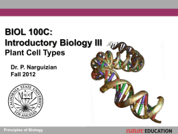 Plant Cell Types Instructor PPT - Cal State LA