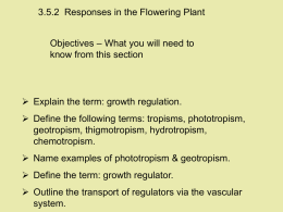 Plant Defences