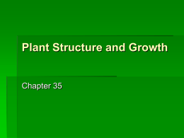 Plant Structure and transport