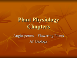 Plant-Physiology