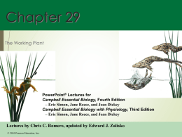 Chapter 29 - Fullfrontalanatomy.com