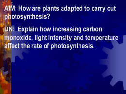 The many parts of a plant help it to maintain homeostasis!!!!!