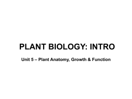 5.1 Plants as a bioresource - Blyth-Biology11