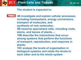 21.1 Plant Cells and Tissues TEKS 5B, 10B, 10C