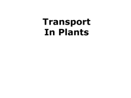 Transport In Plants