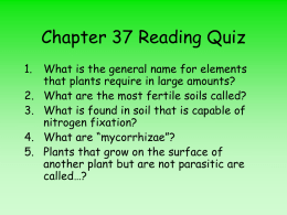1. Describe the chemical composition of plants and explain how this