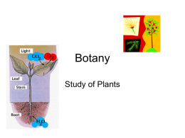 Botany