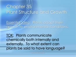 Growth in Plants