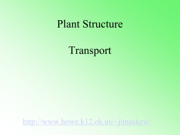 Plant Transport PPT