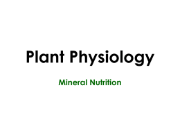 Mineral Nutrition - Lectures For UG-5