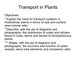 as-1-2-3-plant-revision
