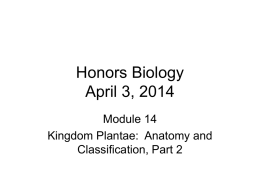 Honors Biology Module 14 Plants Part 2