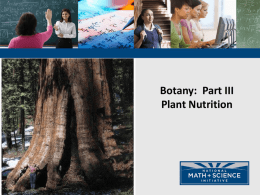 Botany Part III Plant Nutrtionx