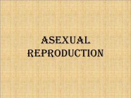 Asexual Reproduction - CAPE Biology Unit 1 Haughton XLCR 2013