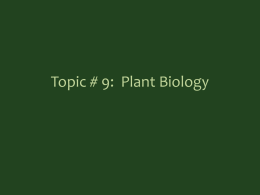 Topic 9 Plant Biologyx