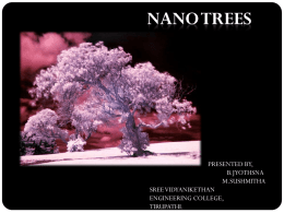 nano trees -the latest renewable energy resource