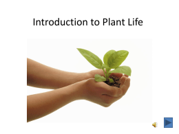 Introduction to Plant Life