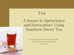 Agriscience_Lesson_on_tea