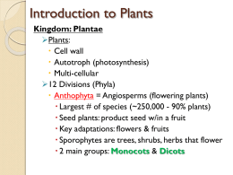Plants Review