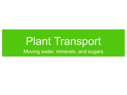 Chapter 42 - Plant Nutrient Transport