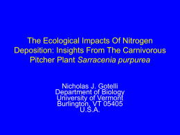 Nitrogen deposition and extinction risk in carnivorous plants