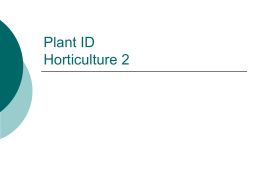 Plant ID Horticulture 2