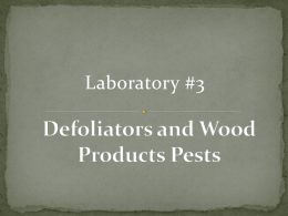 Defoliators and Wood Products Pests