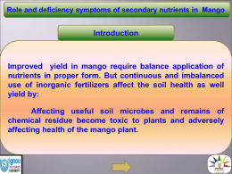 secodary nutrient in mango