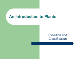 An Introduction to Plants