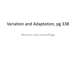 Variation and Adaptation, pg 338