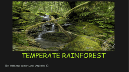 The Temperate Rain Forest