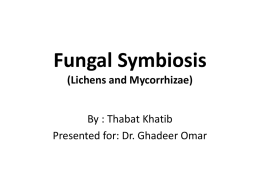 symbiosis in fungi