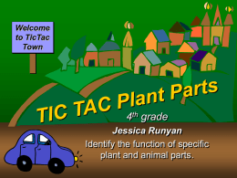 TIC TAC Plant Parts