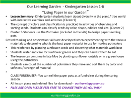 Kindergarten, Cluster 1