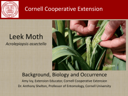 Powerpoint (12MB File) - Leek Moth: Information Center for the US