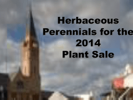 2014-Plant-Sale-Herbaceous