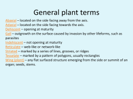 General Plant Terms 3.81 MB