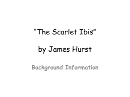 *The Scarlet Ibis* by James Hurst