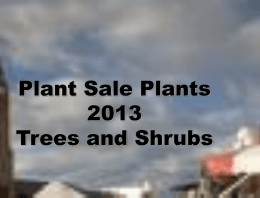 Plants-2013-web-trees