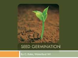 5A Seed Germination