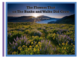 The Flowers That on The Banks and Walks Did