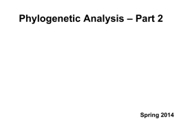 Phylogenetic Analysis Part 2