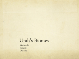 Utah*s Biomes
