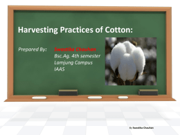 Harvesting Practices of Cotton: