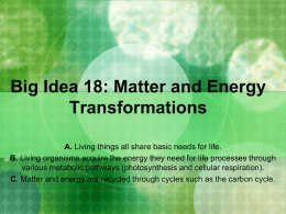 Big Idea 18 : Matter and Energy Transformations