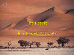 Desert Biome Final Project - joberts12