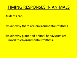 Biological Rhythms slides 1